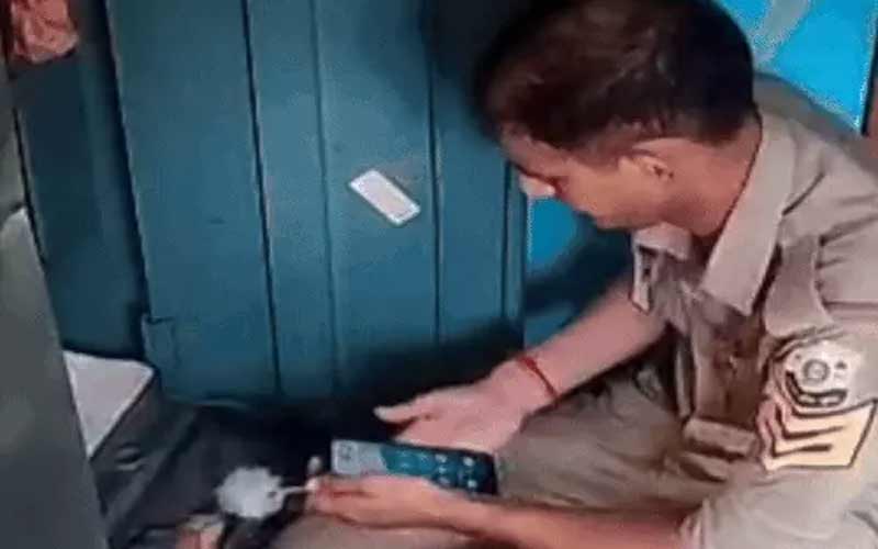 Himachal Crime News: घर के ताले तोड़ चोरों ने लगाई सेंध! अलमारी में रखी हजारों की नकदी पर किया हाथ साफ