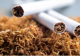 HP News: हिमाचल में यहां जारी हुआ प्रदेश का पहला तम्बाकू विक्रेता लाइसेंस