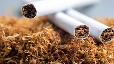 HP News: हिमाचल में यहां जारी हुआ प्रदेश का पहला तम्बाकू विक्रेता लाइसेंस