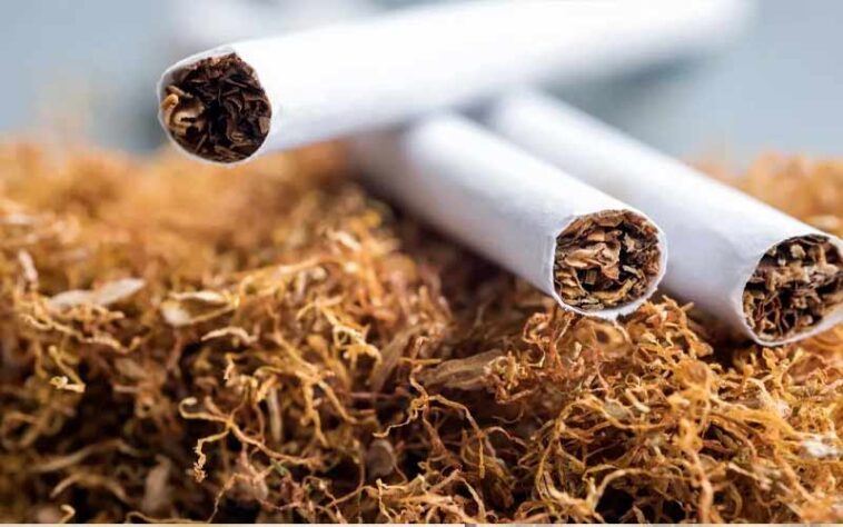 HP News: हिमाचल में यहां जारी हुआ प्रदेश का पहला तम्बाकू विक्रेता लाइसेंस