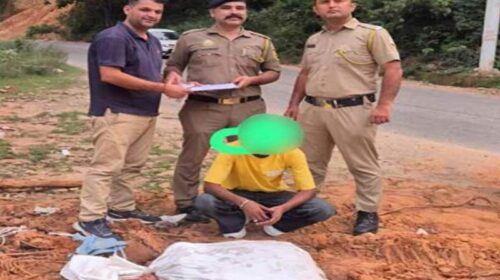 Paonta Sahib: पांवटा में पकड़ी 13.175 किलोग्राम भुक्की! पुलिस ने सप्लाई करने से पहले दबोचा तस्कर Paonta Sahib: पांवटा में पकड़ी 13.175 किलोग्राम भुक्की! पुलिस ने सप्लाई करने से पहले दबोचा तस्कर