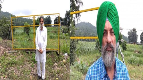Sirmour News: 23 लाख की सोलर फैंसिंग से पांवटा साहिब के करनेल सिंह की 95 बीघा भूमि हुई सुरक्षित Sirmour News: 23 लाख की सोलर फैंसिंग से पांवटा साहिब के करनेल सिंह की 95 बीघा भूमि हुई सुरक्षित