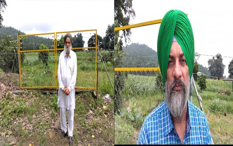Sirmour News: 23 लाख की सोलर फैंसिंग से पांवटा साहिब के करनेल सिंह की 95 बीघा भूमि हुई सुरक्षित Sirmour News: 23 लाख की सोलर फैंसिंग से पांवटा साहिब के करनेल सिंह की 95 बीघा भूमि हुई सुरक्षित