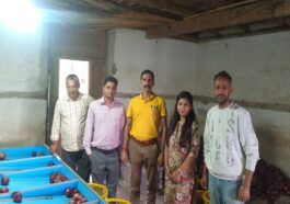 Himachal News: 97 प्रतिशत सेब का कारोबार पूरा! बागवानों के लिए HPMC ने शुरू किया प्रापण केंद्र