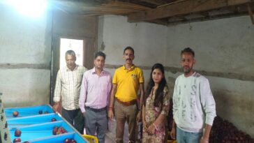 Himachal News: 97 प्रतिशत सेब का कारोबार पूरा! बागवानों के लिए HPMC ने शुरू किया प्रापण केंद्र