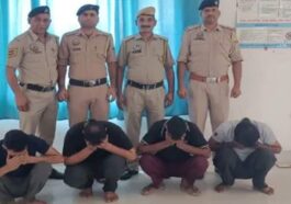 Himachal Crime News: पिकअप से पकड़ी चरस की बड़ी खेप! चार काबू, लंबे समय से नशीले कारोबार में सक्रिय थे आरोपी