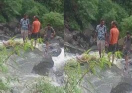 Himachal News Alert: लकड़ी के पुल को पार करते हादसा! खड्ड में बहे दो लोग, एक का शव बरामद