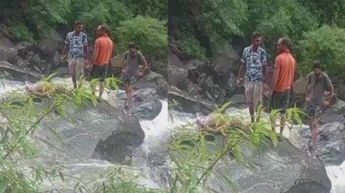 Himachal News Alert: लकड़ी के पुल को पार करते हादसा! खड्ड में बहे दो लोग, एक का शव बरामद Himachal News Alert: लकड़ी के पुल को पार करते हादसा! खड्ड में बहे दो लोग, एक का शव बरामद