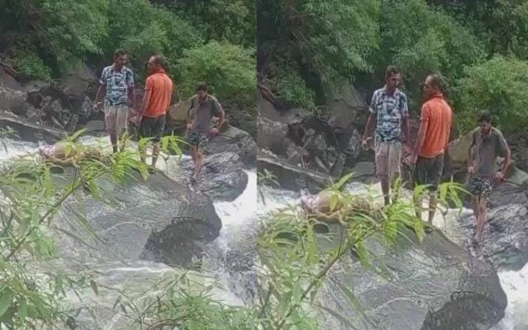 Himachal News Alert: लकड़ी के पुल को पार करते हादसा! खड्ड में बहे दो लोग, एक का शव बरामद