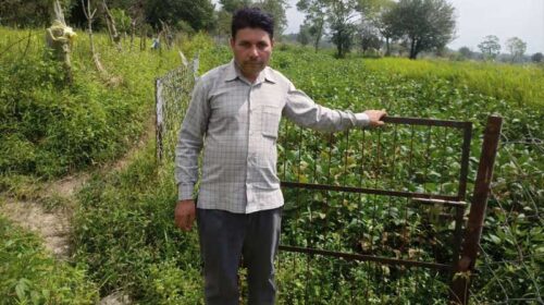 HP News: चेन लिंक फेंसिंग से किसान रोशन लाल की 3 बीघा जमीन हुई सुरक्षित HP News: चेन लिंक फेंसिंग से किसान रोशन लाल की 3 बीघा जमीन हुई सुरक्षित
