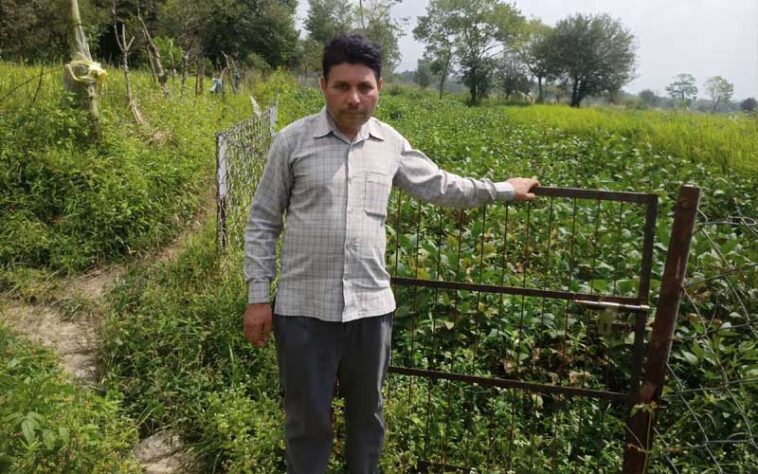 HP News: चेन लिंक फेंसिंग से किसान रोशन लाल की 3 बीघा जमीन हुई सुरक्षित HP News: चेन लिंक फेंसिंग से किसान रोशन लाल की 3 बीघा जमीन हुई सुरक्षित