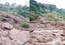 Cloudburst In Himachal: हिमाचल में फिर फटा बादल! हुई तबाही, आम के बगीचे सहित फसलें नष्ट