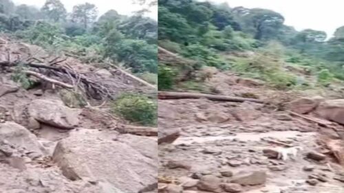 Cloudburst In Himachal: हिमाचल में फिर फटा बादल! हुई तबाही, आम के बगीचे सहित फसलें नष्ट