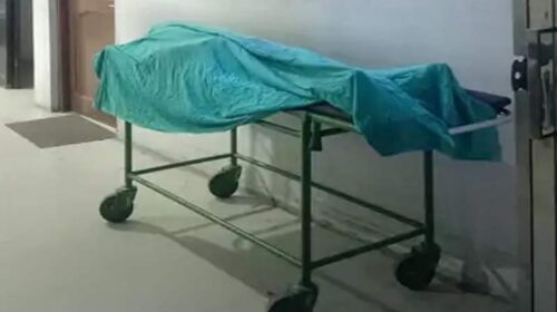 Himachal News Alert: मरम्मत करते ट्रांसफॉर्मर से नीचे गिरा मजदूर! गई जान, एक घायल Himachal News Alert: मरम्मत करते ट्रांसफॉर्मर से नीचे गिरा मजदूर! गई जान, एक घायल