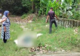 Himachal News Alert: खेत से सड़ी-गली हालत में मिला महिला का शव! एक सप्ताह पहले हुई थी लापता