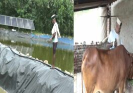 Himachal News: मिसाल बने हिमाचल के किसान दिकृष्ण चंद! खेती, बागवानी, पशु और मत्स्य पालन से घर में ही कमा रहे लाखों