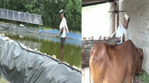 Himachal News: मिसाल बने हिमाचल के किसान दिकृष्ण चंद! खेती, बागवानी, पशु और मत्स्य पालन से घर में ही कमा रहे लाखों Himachal News: मिसाल बने हिमाचल के किसान दिकृष्ण चंद! खेती, बागवानी, पशु और मत्स्य पालन से घर में ही कमा रहे लाखों