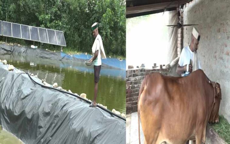 Himachal News: मिसाल बने हिमाचल के किसान दिकृष्ण चंद! खेती, बागवानी, पशु और मत्स्य पालन से घर में ही कमा रहे लाखों Himachal News: मिसाल बने हिमाचल के किसान दिकृष्ण चंद! खेती, बागवानी, पशु और मत्स्य पालन से घर में ही कमा रहे लाखों