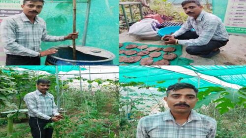 HP News: नौकरी छोड़ किसान बने इंजीनियर शक्ति देव! अब खेती से कमा रहे हज़ारों रूपए HP News: नौकरी छोड़ किसान बने इंजीनियर शक्ति देव! अब खेती से कमा रहे हज़ारों रूपए