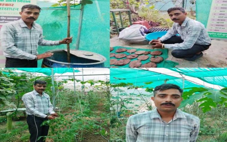 HP News: नौकरी छोड़ किसान बने इंजीनियर शक्ति देव! अब खेती से कमा रहे हज़ारों रूपए HP News: नौकरी छोड़ किसान बने इंजीनियर शक्ति देव! अब खेती से कमा रहे हज़ारों रूपए