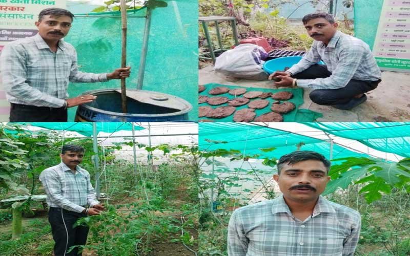HP News: नौकरी छोड़ किसान बने इंजीनियर शक्ति देव! अब खेती से कमा रहे हज़ारों रूपए