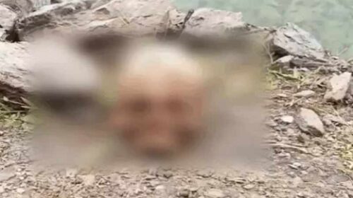 Himachal News Alert: हिमाचल में इंसानी खोपड़ी मिलने से लोगों में दहशत! पुलिस जाँच में जुटी Himachal News Alert: हिमाचल में इंसानी खोपड़ी मिलने से लोगों में दहशत! पुलिस जाँच में जुटी