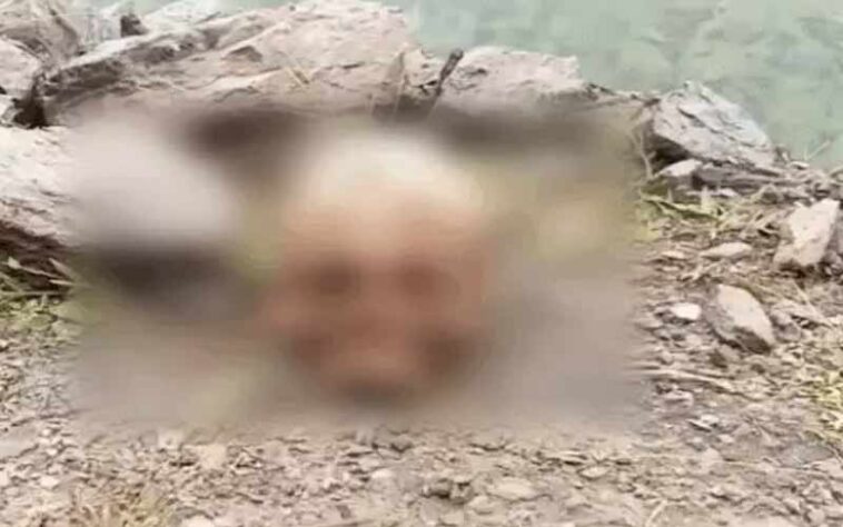 Himachal News Alert: हिमाचल में इंसानी खोपड़ी मिलने से लोगों में दहशत! पुलिस जाँच में जुटी