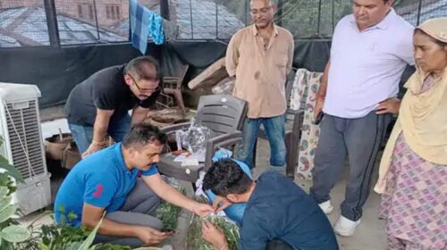 Himachal Crime News: घर में हो रही थी हाईब्रिड चरस और भांग की खेती! पुलिस ने मारा छापा, आरोपी अरेस्ट