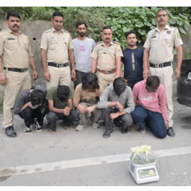 Himachal Crime News: गाड़ी में चरस की बड़ी सप्लाई ले जाते पकड़े पांच युवक! पूछताछ में होंगे कई अहम खुलासे
