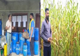 HP News: नौकरी की होड़ छोड़कर प्राकृतिक खेती से चुनी आत्मनिर्भरता की राह! जगदीश चंद ने लिखी सफलता की नई कहानी