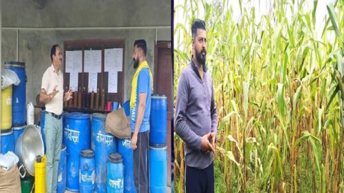 HP News: नौकरी की होड़ छोड़कर प्राकृतिक खेती से चुनी आत्मनिर्भरता की राह! जगदीश चंद ने लिखी सफलता की नई कहानी HP News: नौकरी की होड़ छोड़कर प्राकृतिक खेती से चुनी आत्मनिर्भरता की राह! जगदीश चंद ने लिखी सफलता की नई कहानी