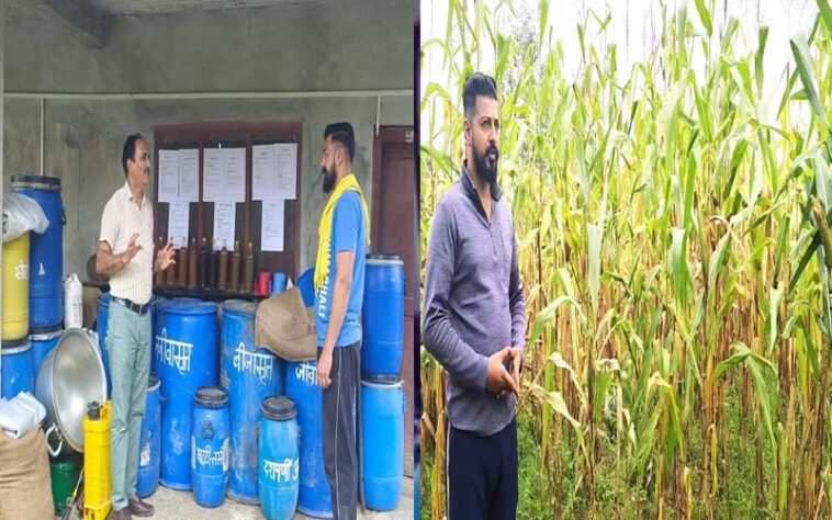 HP News: नौकरी की होड़ छोड़कर प्राकृतिक खेती से चुनी आत्मनिर्भरता की राह! जगदीश चंद ने लिखी सफलता की नई कहानी HP News: नौकरी की होड़ छोड़कर प्राकृतिक खेती से चुनी आत्मनिर्भरता की राह! जगदीश चंद ने लिखी सफलता की नई कहानी