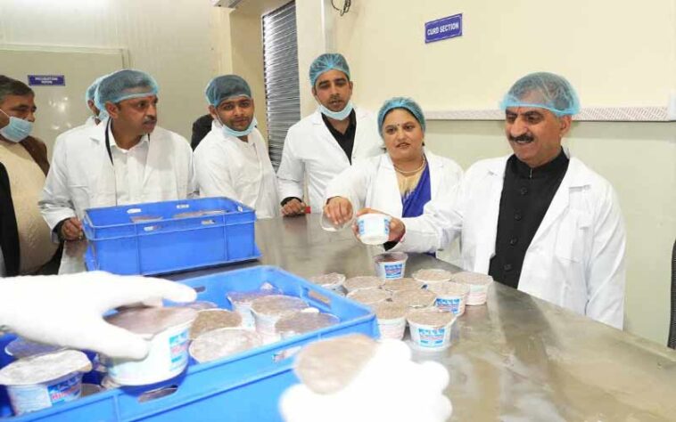 Himachal News: हिमाचल में रोजाना 38,400 किसानों से 2.32 लाख लीटर गाय का दूध खरीद रहा मिल्कफेड Himachal News: हिमाचल में रोजाना 38,400 किसानों से 2.32 लाख लीटर गाय का दूध खरीद रहा मिल्कफेड