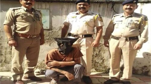 Himachal Crime News: पुलिस ने मकान में मारा छापा! चरस की बड़ी खेप सहित तस्कर गिरफ्तार Himachal Crime News: पुलिस ने मकान में मारा छापा! चरस की बड़ी खेप सहित तस्कर गिरफ्तार