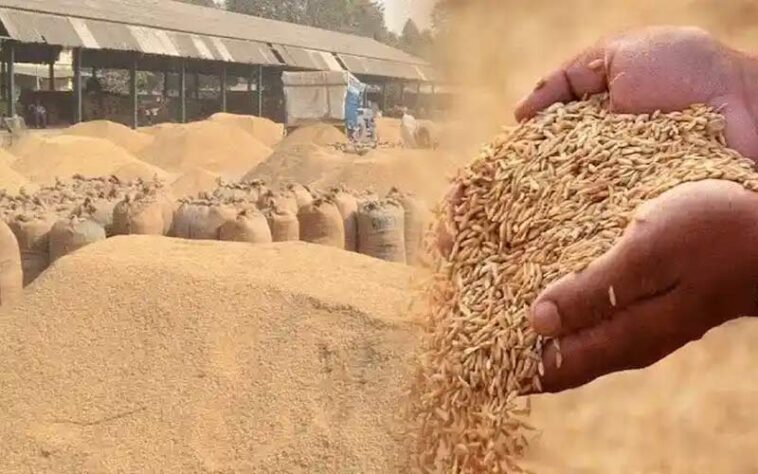 Paonta Sahib: धौलाकुआं और पांवटा साहिब में 3 अक्तूबर से शुरू होगी धान की खरीद Paonta Sahib: धौलाकुआं और पांवटा साहिब में 3 अक्तूबर से शुरू होगी धान की खरीद