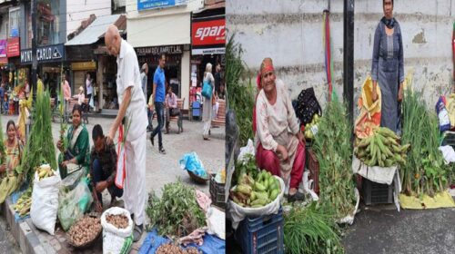 Himachal Latest News: नई फसल के आगमन का प्रतीक है सैर पर्व! पेठू पूजन से लेकर अखरोट खेलने की रही है परंपरा