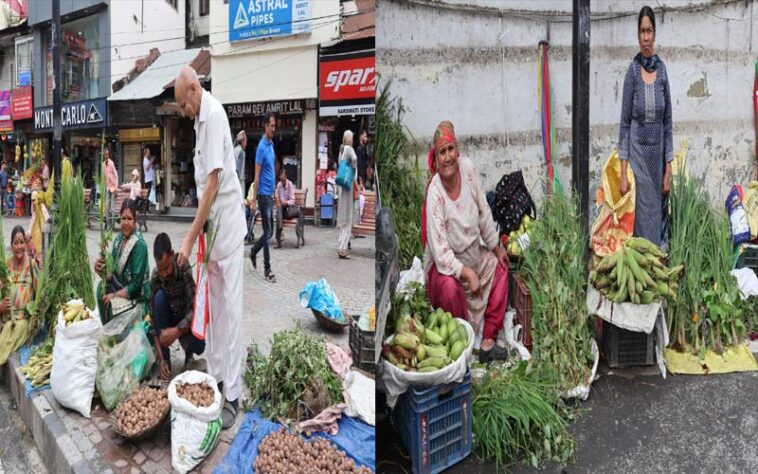 Himachal Latest News: नई फसल के आगमन का प्रतीक है सैर पर्व! पेठू पूजन से लेकर अखरोट खेलने की रही है परंपरा