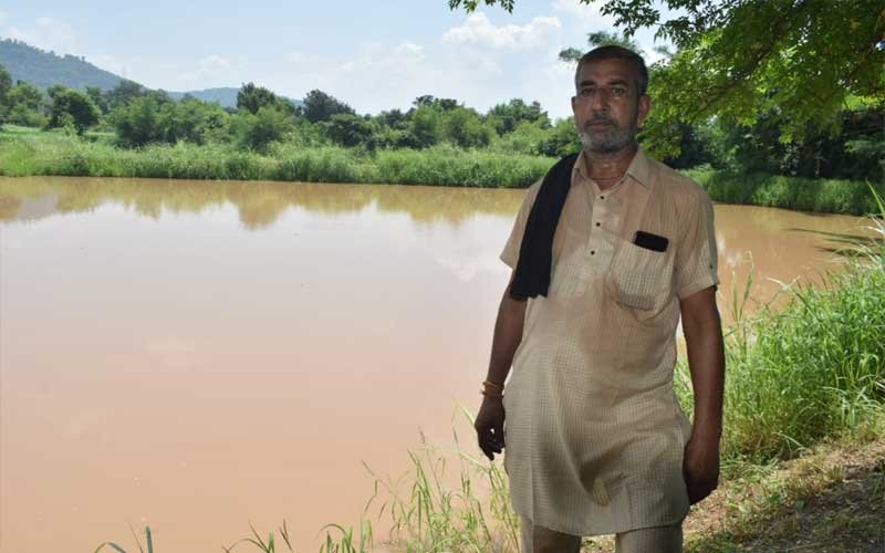 Himachal News: 5 बीघा भूमि पर मत्स्य पालन कर गाढ़ी कमाई कर रहे सुरेंद्र! दो अन्य लोगों को भी दिया रोज़गार
