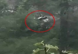 Accident In Himachal: गहरी खाई में लुढ़की गाड़ी! दो लोगों की दर्दनाक मौत! तीसरे दिन चला हादसे का पता..