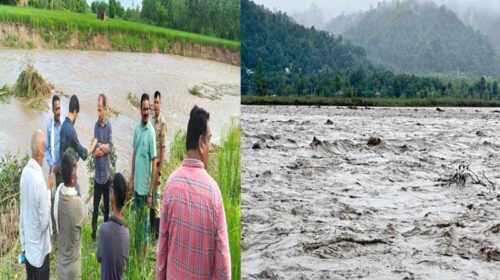 Himachal News Update: 1394 फीट से ऊपर पहुंचा पौंग बांध का जलस्तर! बाढ़ से घरों-फसलों को नुकसान Himachal News Update: 1394 फीट से ऊपर पहुंचा पौंग बांध का जलस्तर! बाढ़ से घरों-फसलों को नुकसान