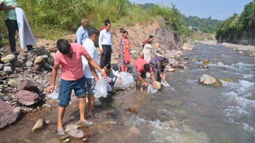 Himachal Latest News: नदियों में छोड़ी 1.33 लाख अंगुलिका मछली! मछुआरों की आय में होगी वृद्धि