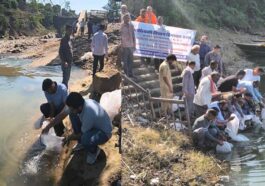 Himachal Latest News: गोविन्दसागर जलाशय में 12 हाज़ा महाशीर मछली बीज संग्रहण! एंगलिंग पर्यटन को मिलेगा प्रोत्साहन