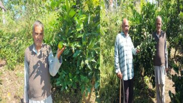 HP News: 41 किसानों की बदली तकदीर! ललाणा क्लस्टर में लहलहा रही मौसमी की फसल, इतने मिल रहे दाम