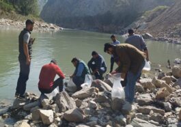 Himachal News Update: नदी में छोड़े गए 5 हजार महाशीर मछली बीज! मछुआरों की आय में होगी वृद्धि