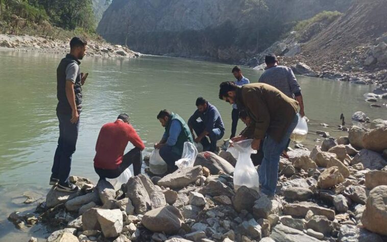Himachal News Update: नदी में छोड़े गए 5 हजार महाशीर मछली बीज! मछुआरों की आय में होगी वृद्धि Himachal News Update: नदी में छोड़े गए 5 हजार महाशीर मछली बीज! मछुआरों की आय में होगी वृद्धि