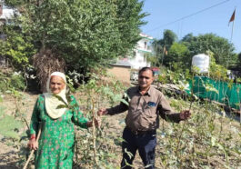 Himachal News: हिमाचल की 68 वर्षीय तीर्थू देवी ने एक साथ उगाई कई फसलें! बाजार में मिल रहे बेहतरीन दाम