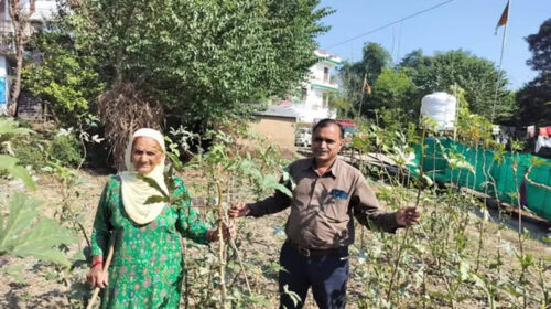 Himachal News: हिमाचल की 68 वर्षीय तीर्थू देवी ने एक साथ उगाई कई फसलें! बाजार में मिल रहे बेहतरीन दाम Himachal News: हिमाचल की 68 वर्षीय तीर्थू देवी ने एक साथ उगाई कई फसलें! बाजार में मिल रहे बेहतरीन दाम