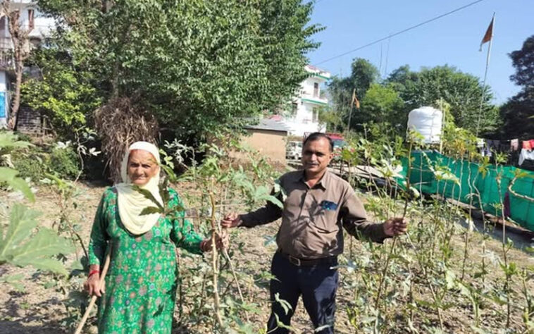 Himachal News: हिमाचल की 68 वर्षीय तीर्थू देवी ने एक साथ उगाई कई फसलें! बाजार में मिल रहे बेहतरीन दाम Himachal News: हिमाचल की 68 वर्षीय तीर्थू देवी ने एक साथ उगाई कई फसलें! बाजार में मिल रहे बेहतरीन दाम