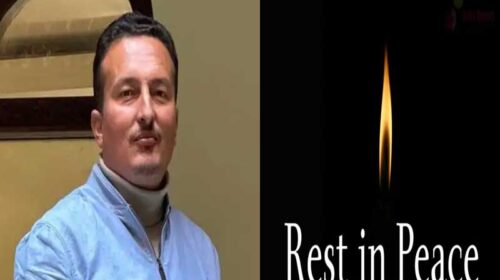 Accident In Himachal: बेकाबू होकर सड़क किनारे पलटी कार! चालक की दर्दनाक मौत Accident In Himachal: बेकाबू होकर सड़क किनारे पलटी कार! चालक की दर्दनाक मौत