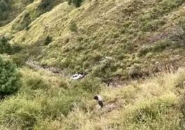 हिमाचल में बड़ा हादसा: 300 फीट गहरी खाई में लुढ़की कार! दो युवकों की मौत, एक घायल